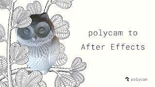 Polycam to After Effects Tutorial: Composite Real 3D Scans in Motion Graphics