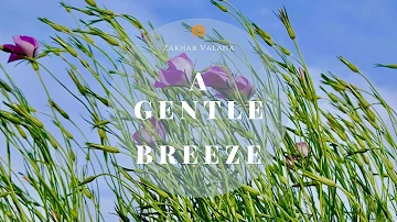 A Gentle Breeze | Piano Inspiring Music | Sleep Music | Meditation Music