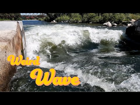 One Weird Wave! Boise River surfing on shaper 3 - learning to acid drop onto my surfboard