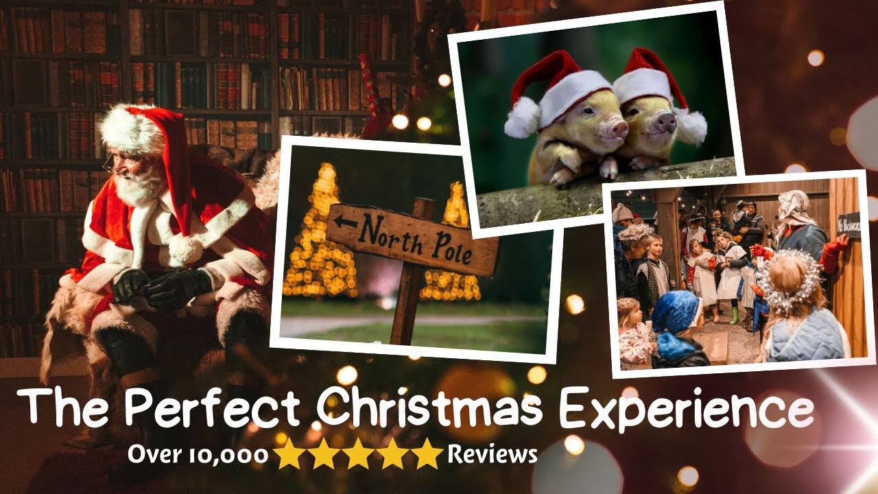 Unforgettable Christmas Experience At Pennywell Farm 2024: A Magical Journey Through Time