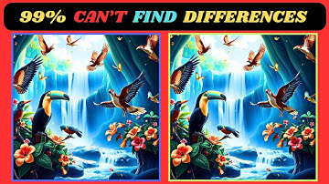 Only 1% Can Find All 3 Differences | 🦜🐦 Bird Edition |