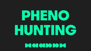 Pheno Hunting: The Art of Cultivating Unique Cannabis Strains