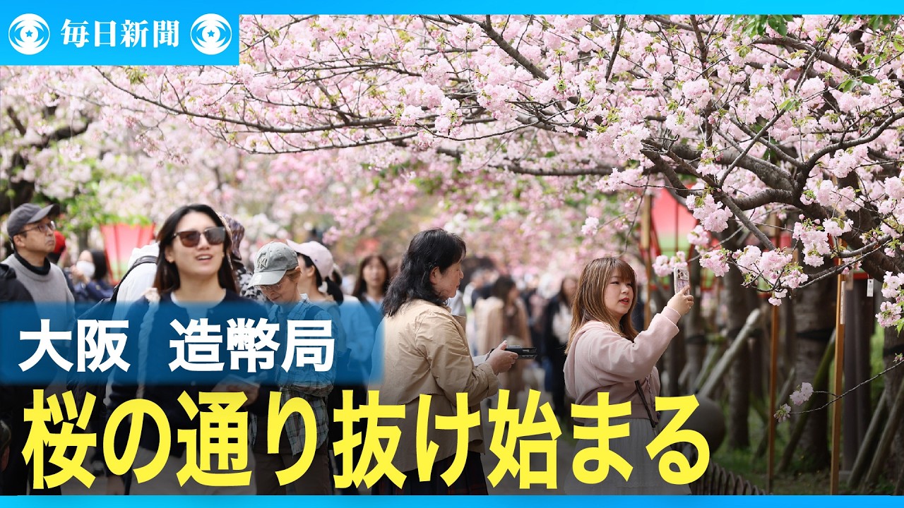 造幣局通り抜け 桜の通り抜け始まる 大阪・造幣局 - YouTube