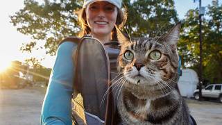 VANLIFE with My CAT | Making Stained Glass Art & Cozy RV Park Stay
