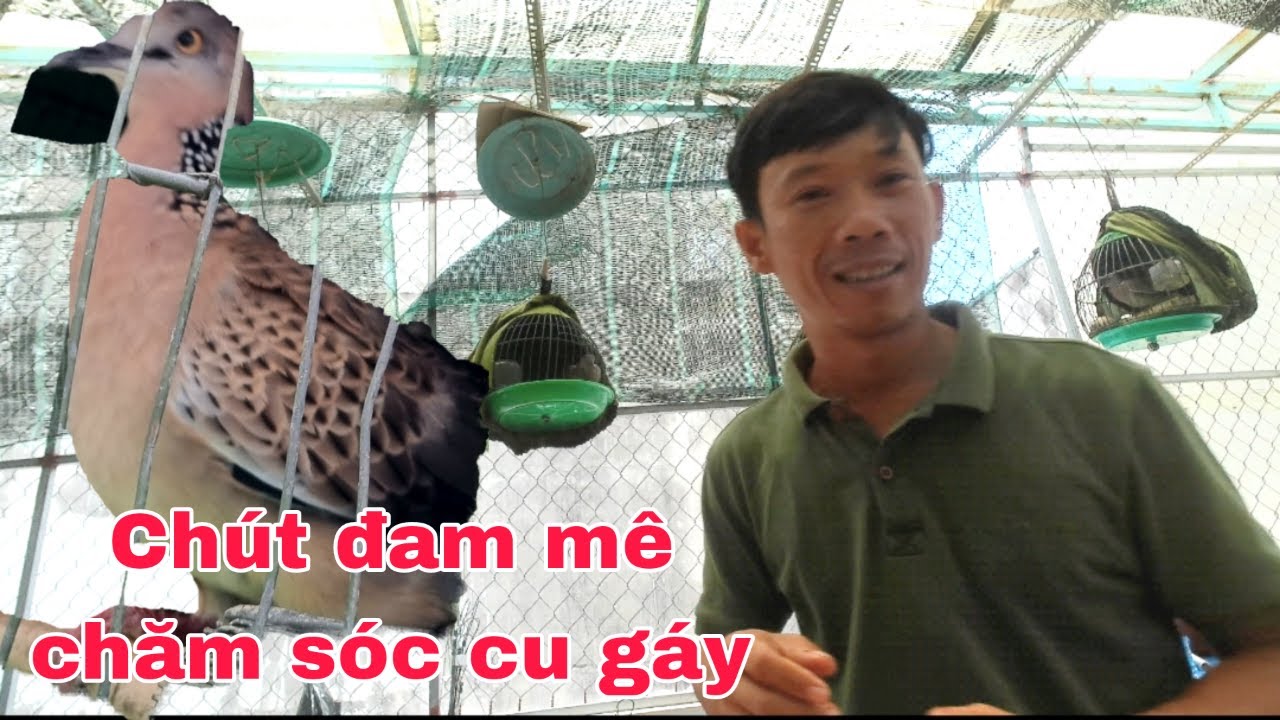 Chút Đam Mê Chăm Sóc Cu Gáy