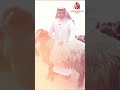 نعيمي بلدي 