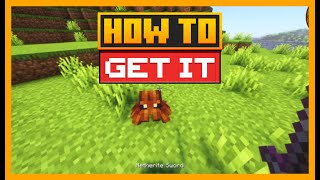 HOW TO TAME JUMPING SPIDER in MINECRAFT with Critters and Companions screenshot 3