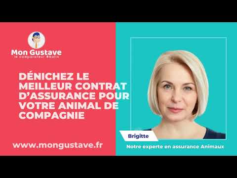 DÉNICHEZ LE MEILLEUR CONTRAT D’ASSURANCE POUR VOTRE ANIMAL DE COMPAGNIE