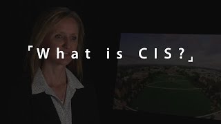 What is Computer Information Systems (CIS)?