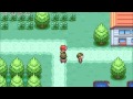 Pokemon Java Engine Npcs