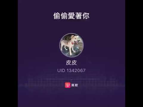 口琴版一偷偷愛著你