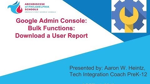 Google Console Bulk User Report