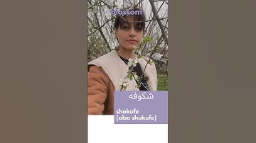 How to say blossom in Persian language 🌸 #farsi #persianvocabulary #persian #learnpersian