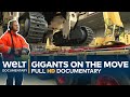 GIGANTS ON THE MOVE - Transport Professionals in Action | Full Documentary