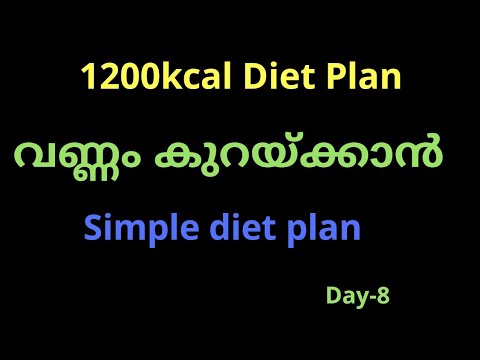 weight-loss-diet-plan-day-8