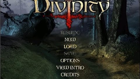 Divine Divinity™ PC 2002 (How to Duplicate Items)