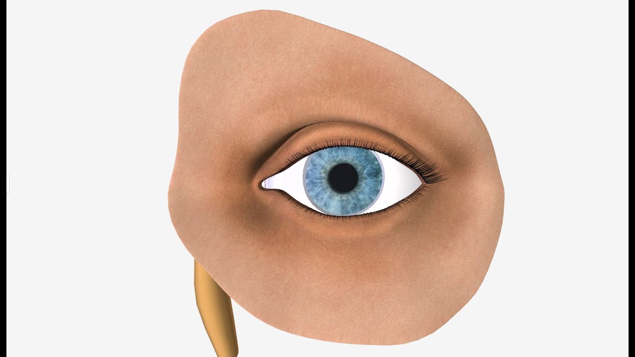 الإعجاز فى الجهاز الدمعى