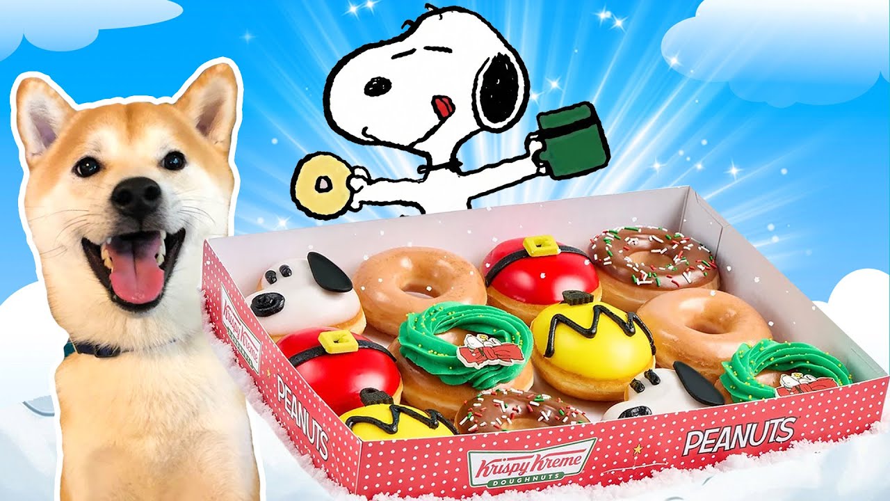 Eating SNOOPY DONUTS with my Doge
