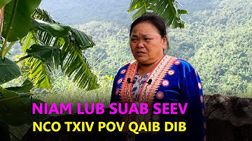 Niam qaib dib: Lub suab seev nco txiv pov qaib dib.