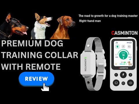 Best Dog Training Collar with Remote Control Full REVIEW