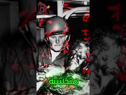 العثور على سفينة مليانة جثث وعيونهم مفتوحة رعب  