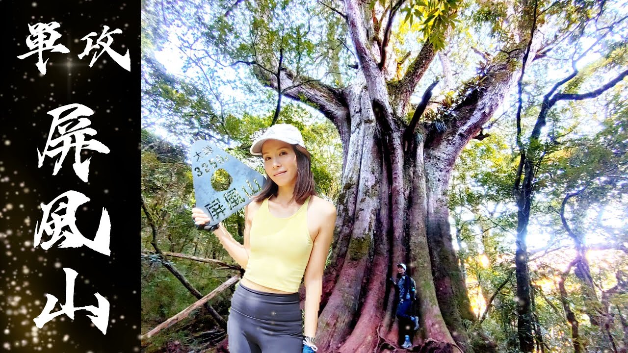 【百岳專輯】 屏風山 單攻