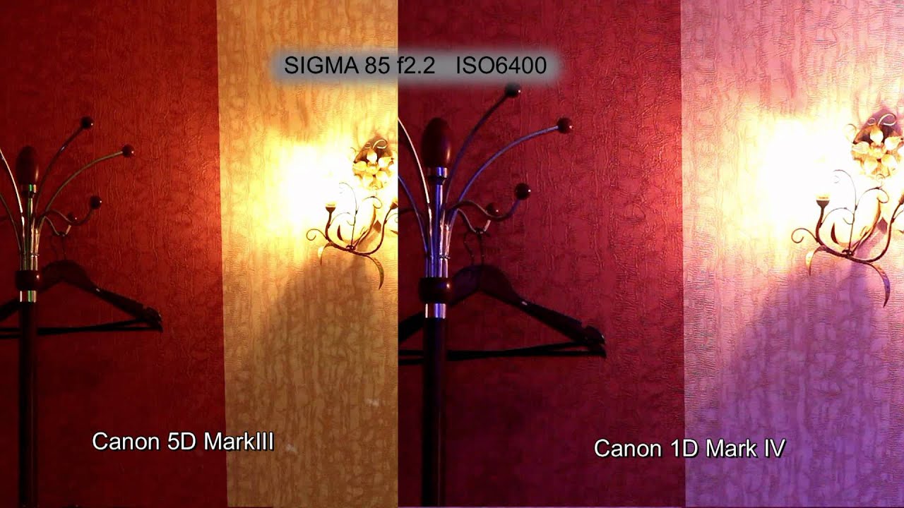 5DMIII vs 1DMIV_ISO6400