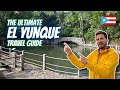 The Ultimate El Yunque National Forest Travel Guide | Rio Grande, Puerto Rico