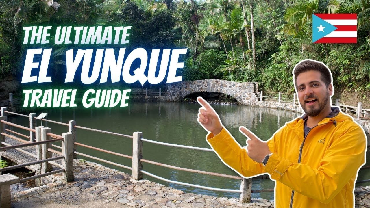 Полный путеводитель по национальному лесу Эль-Юнке | Рио-Гранде, Пуэрто-Рико