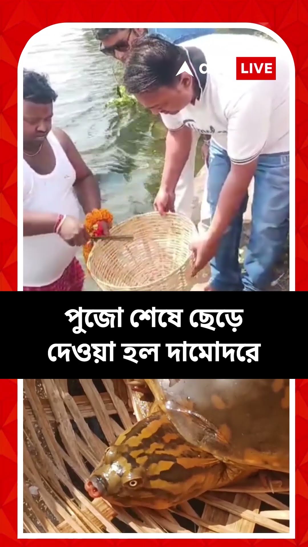 দুর্গাপুরে মাছের জালে উঠল কচ্ছপ, বিষ্ণুরূপে পুজো স্থানীয়দের