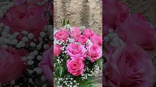 Každý Měsíc Jiná Květina