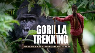 Gorilla Trekking in Uganda | What It's REALLY Like