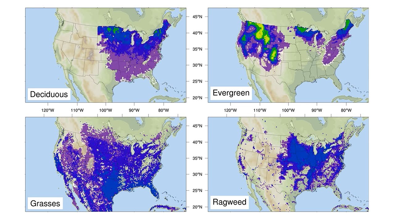 Pollen season is getting longer and more intense with climate change –  here's what allergy sufferers can expect in the future