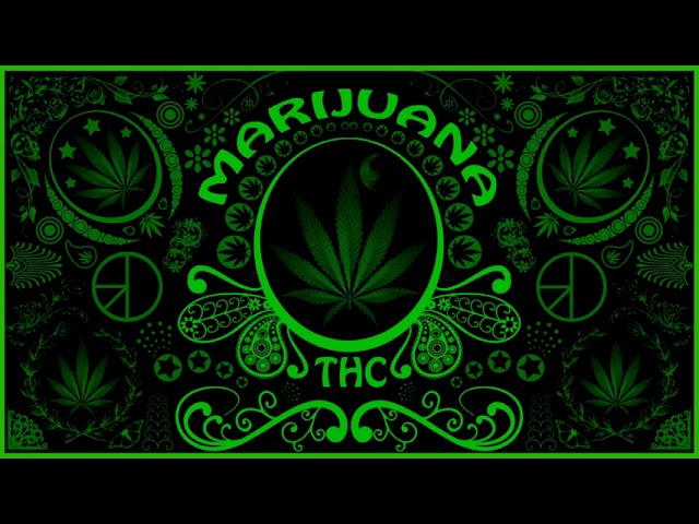 Guarda CANNABIS JAZZ BLUES MARIJUANA su YouTube Guarda CANNABIS JAZZ BLUES MARIJUANA su YouTube