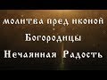 Молитва перед иконой Богородицы Нечаянная Радость