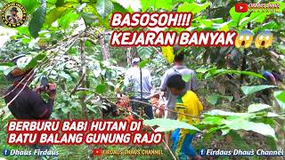 BASOSOH‼️ BERBURU BABI HUTAN DI BATU BALANG GUNUNG RAJO