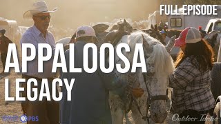 Appaloosa Legacy