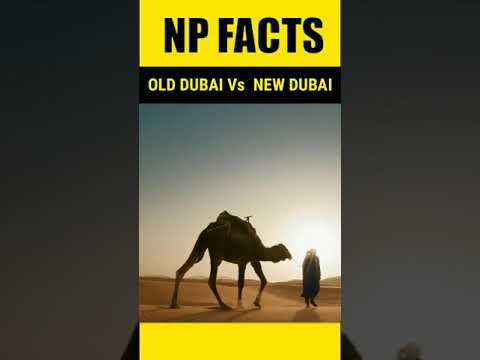 OLD DUBAI vs NEW DUBAI ll NP tv #shorts #burjkhalifa #burjaldubai #burjalarab #saudiarabia #dubai