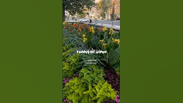 سبحان الله وبحمده عدد خلقه ورضا نفسه #اكسبلور #قرآن #ترند #تلاوة_خاشعة #ترند #الباقيات #راحة_نفسية