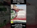 Apa tanggapan temen temen #trending#viral#fyp