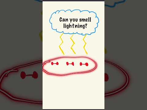 Can You Smell