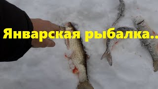 Рыбалка в январе.Как друг наловил голавлей!