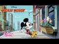 La flor para Minnie | Mickey Mouse