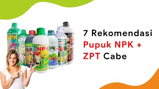 7 Pupuk NPK   ZPT Cair, Penyubur dan Pelebat Buah Cabe