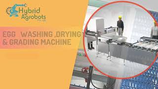 Automatic Egg Washer & Grader Machine – 10,000 Eggs/Hour | Hybrid Agrobots | Made in India