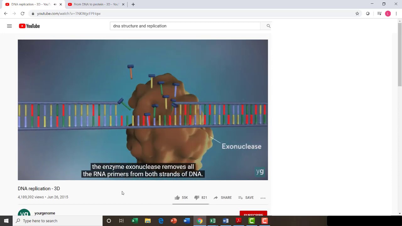 BIO 105 Lab 7 Online Instructions MP4 - YouTube