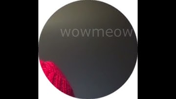 CUPSIZE - там, где ты (Snippet 29.01.24)