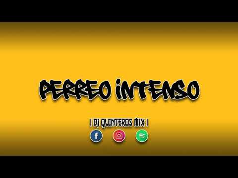 PERREO INTENSO -