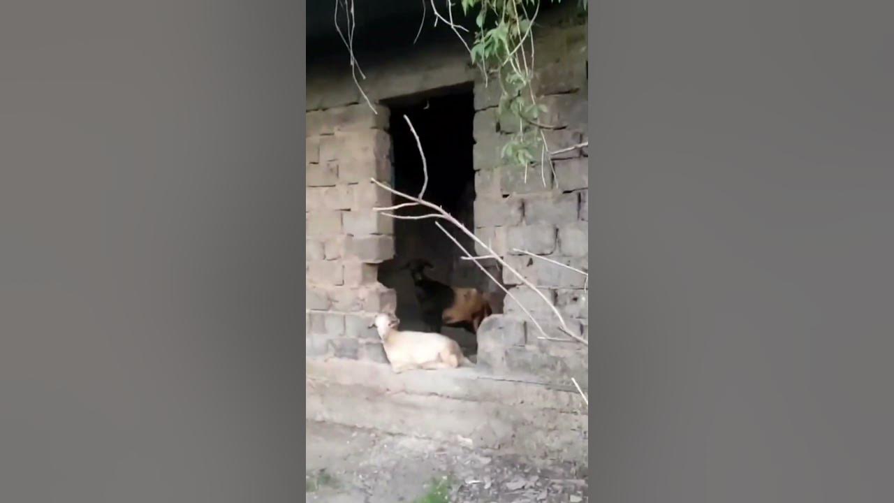 Кто такой азан на заброшках фото