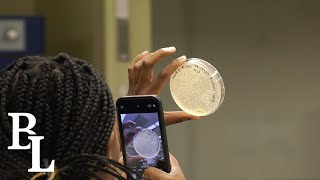 Freshman undergraduate research; a unique opportunity